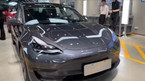 Will Tesla's electric vehicles win the hearts of Indian buyers?