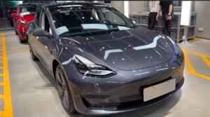 Will Tesla's electric vehicles win the hearts of Indian buyers?