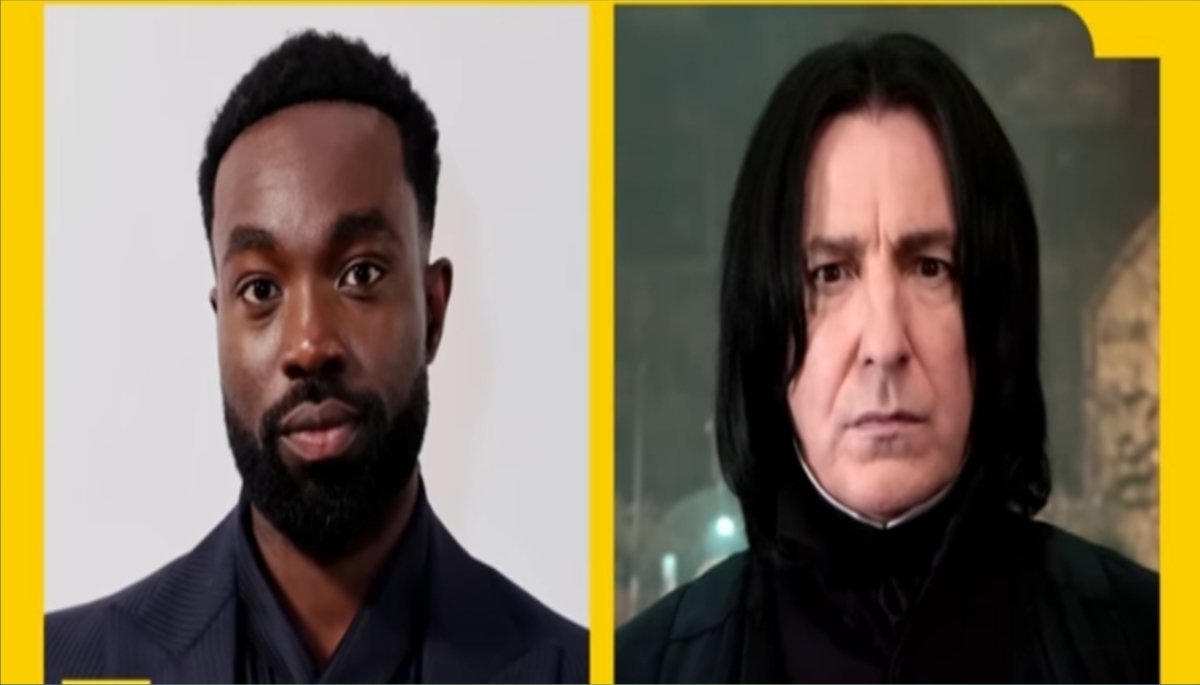 Harry Potter HBO Cast