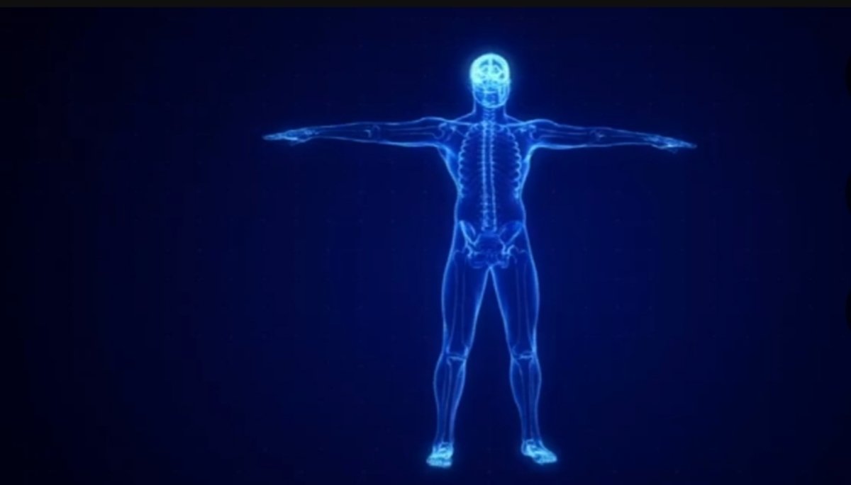 reduce intake of harmful fats