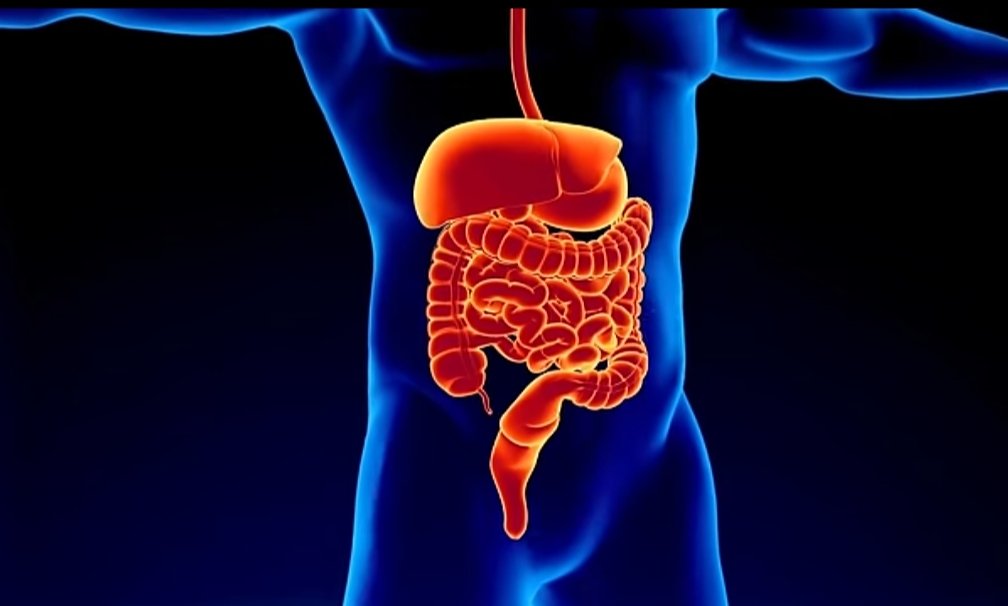 Health benefits of cucumber