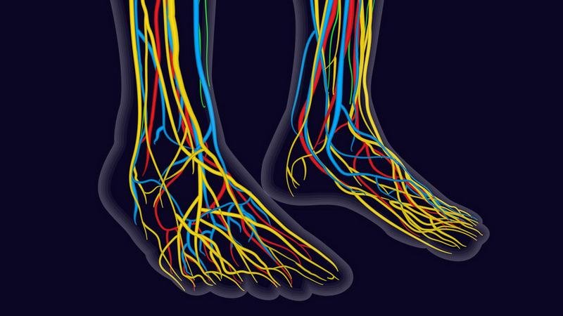 Understanding Charcot-Marie-Tooth Disease: Symptoms, Causes, and Treatment Options in 2026
